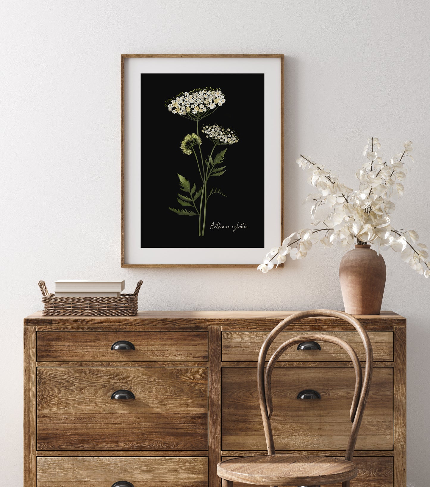Cow Parsley Flower Art Print - Studio Q - Art by Nicky Quartermaine Scott