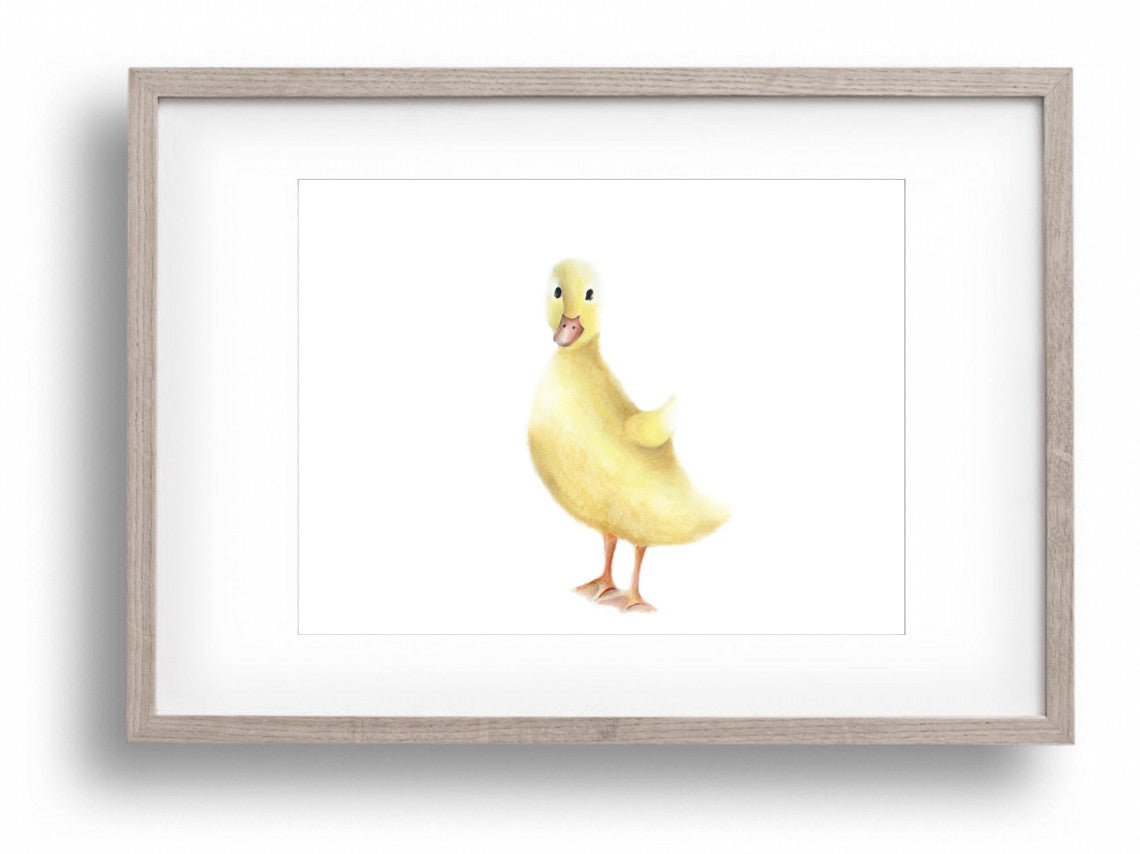 Duckling Nursery Art Print - Studio Q - Art by Nicky Quartermaine Scott