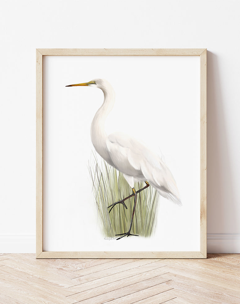 Great Egret in Grasses Bird Art Print - Studio Q - Art by Nicky Quartermaine Scott