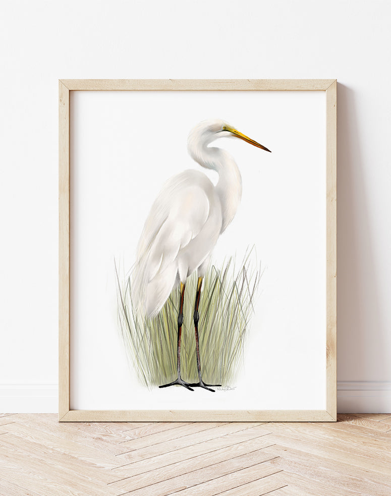 Great Egret in Grasses Bird Art Print 2 - Studio Q - Art by Nicky Quartermaine Scott