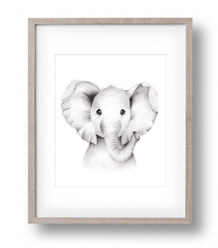 Elephant Sketch Fluffy Face Print - Studio Q - Art by Nicky Quartermaine Scott