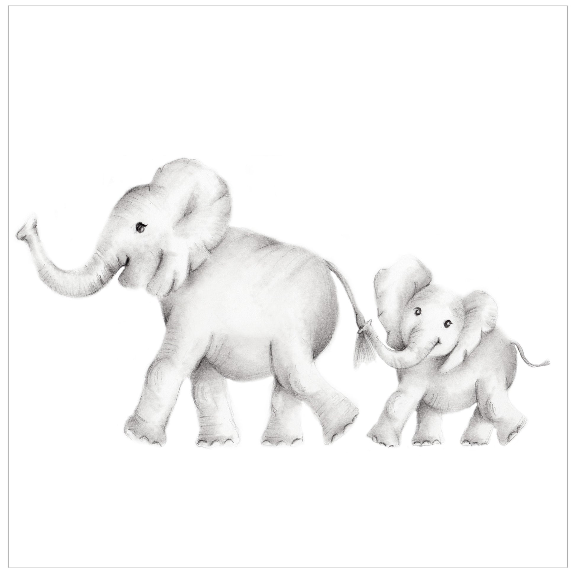 Elephant Family Pencil Drawing Print - Studio Q - Art by Nicky Quartermaine Scott