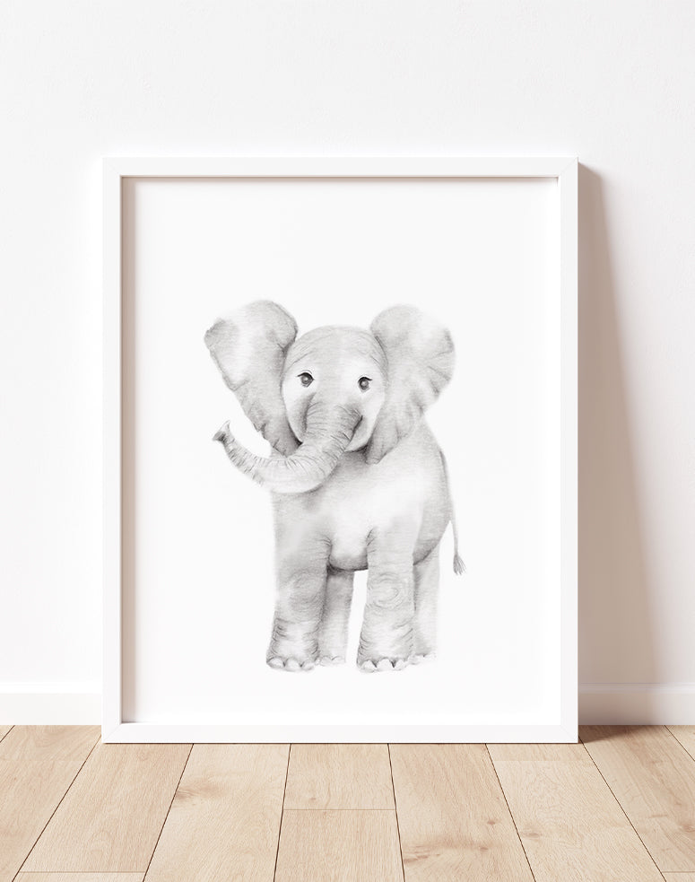 Elephant Pencil Drawing Print - Studio Q - Art by Nicky Quartermaine Scott