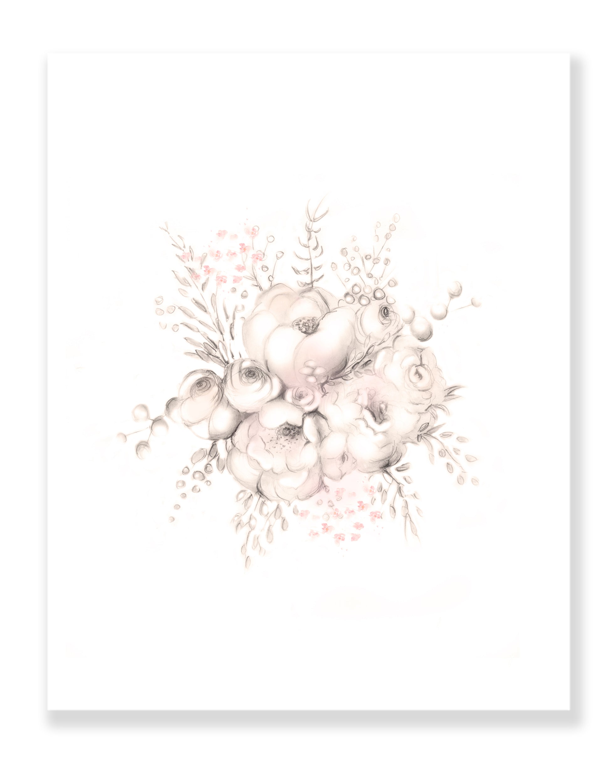Flower 1 Art Print - Sweet Blush - Studio Q - Art by Nicky Quartermaine Scott