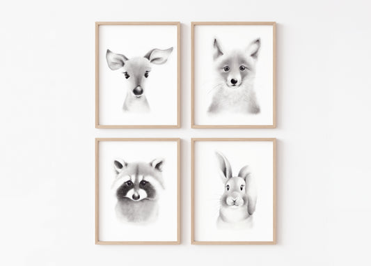 Baby Animal Sketch Prints - Set of 4 - Studio Q - Art by Nicky Quartermaine Scott