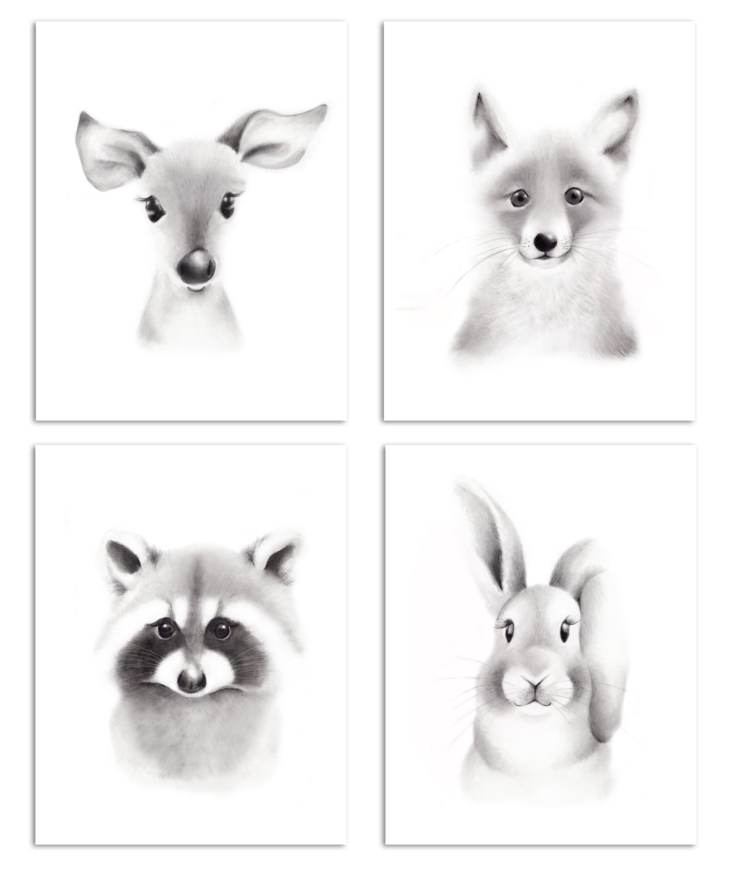 Baby Animal Sketch Prints - Set of 4 - Studio Q - Art by Nicky Quartermaine Scott