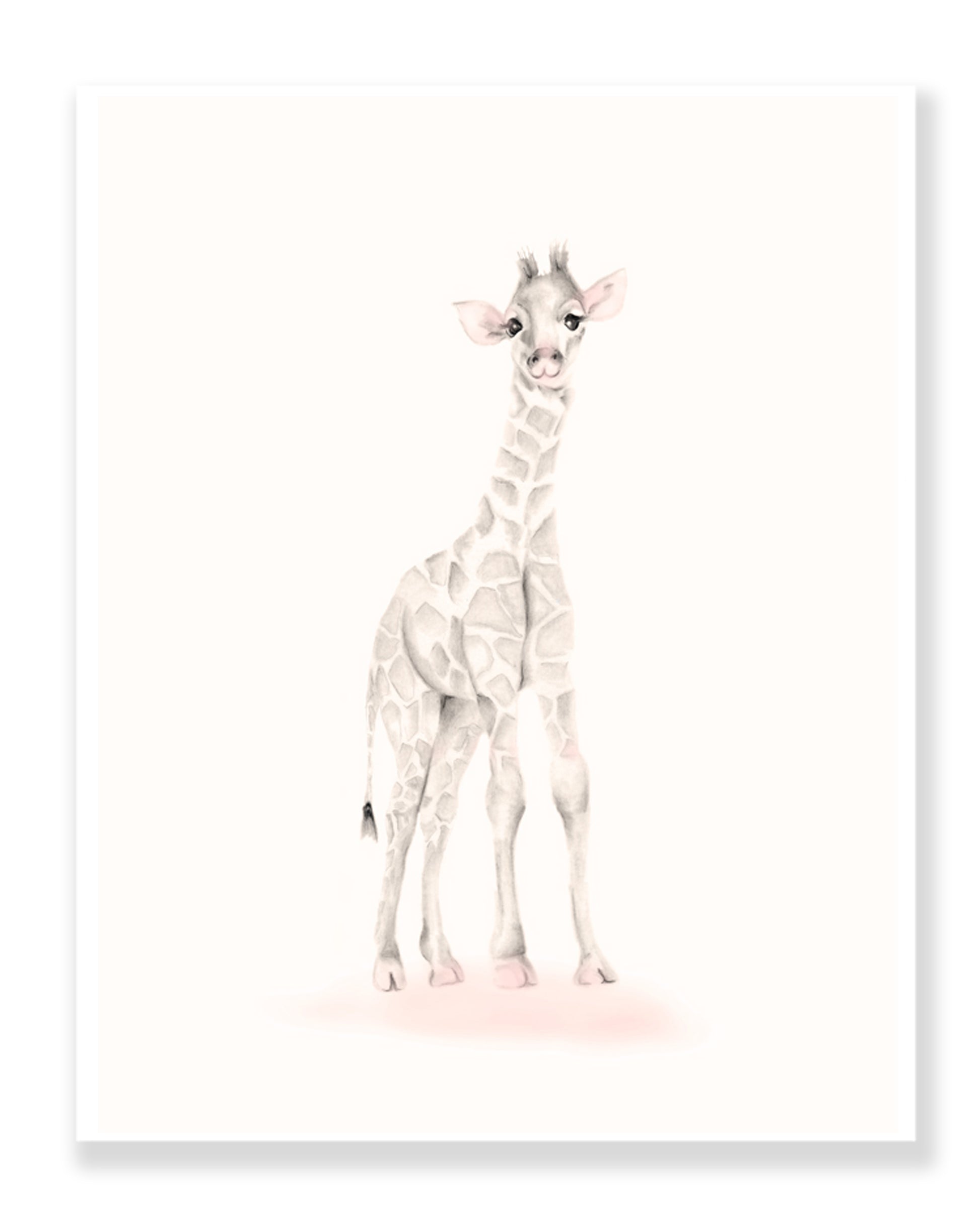 Giraffe Nursery Art Print - Sweet Blush - Studio Q - Art by Nicky Quartermaine Scott