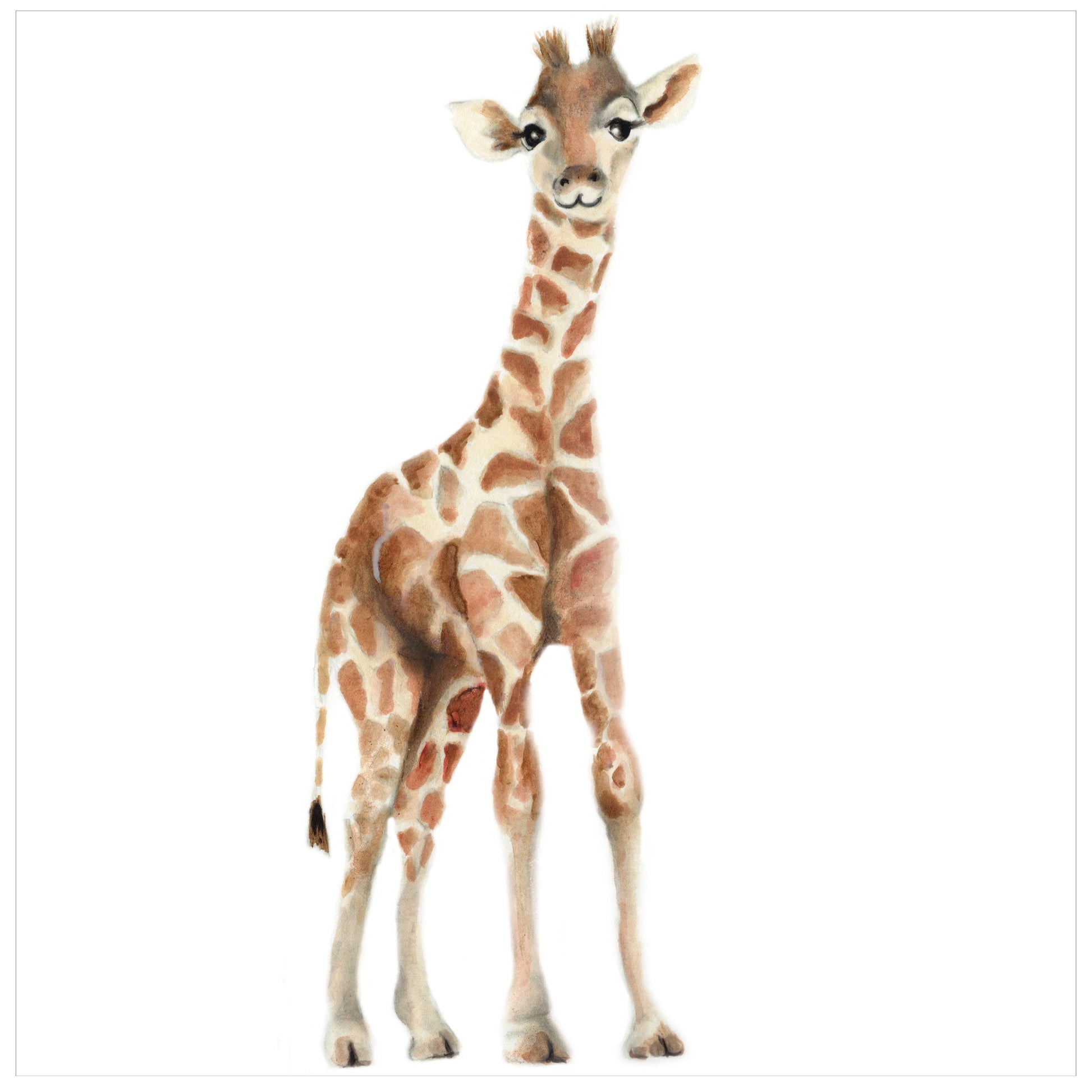 Giraffe Nursery Art Print - Studio Q - Art by Nicky Quartermaine Scott