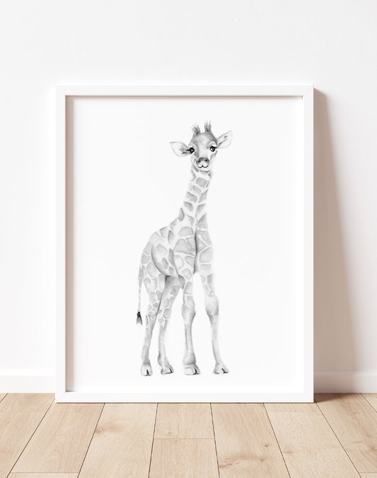 Giraffe Pencil Drawing Print - Studio Q - Art by Nicky Quartermaine Scott