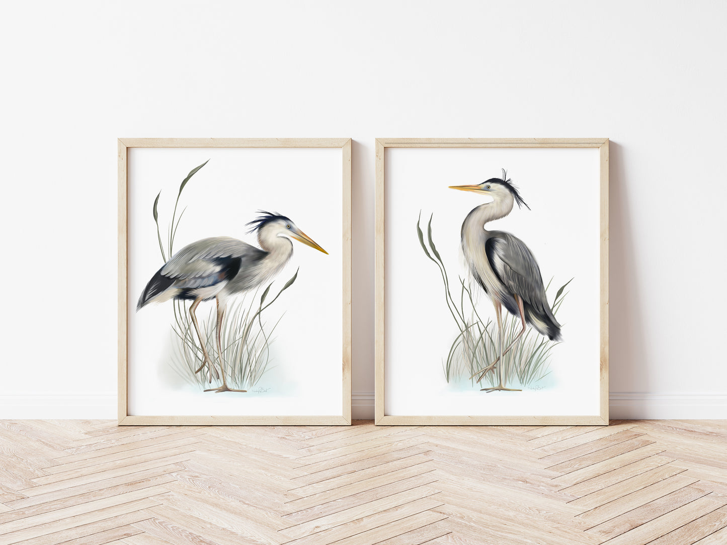 Great Blue Heron Bird Prints in Grasses - Set of 2 - Studio Q - Art by Nicky Quartermaine Scott