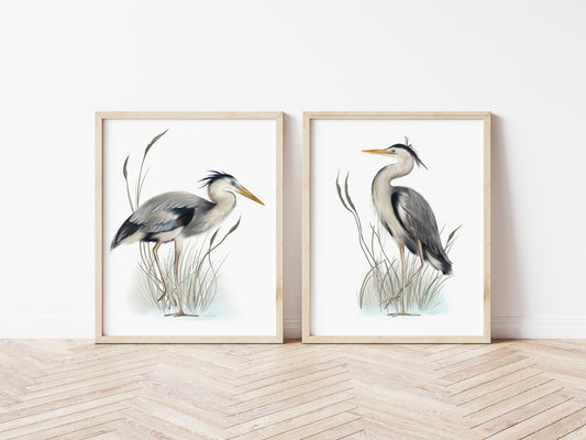 Great Blue Heron Bird Prints in Grasses - Set of 2 - Studio Q - Art by Nicky Quartermaine Scott