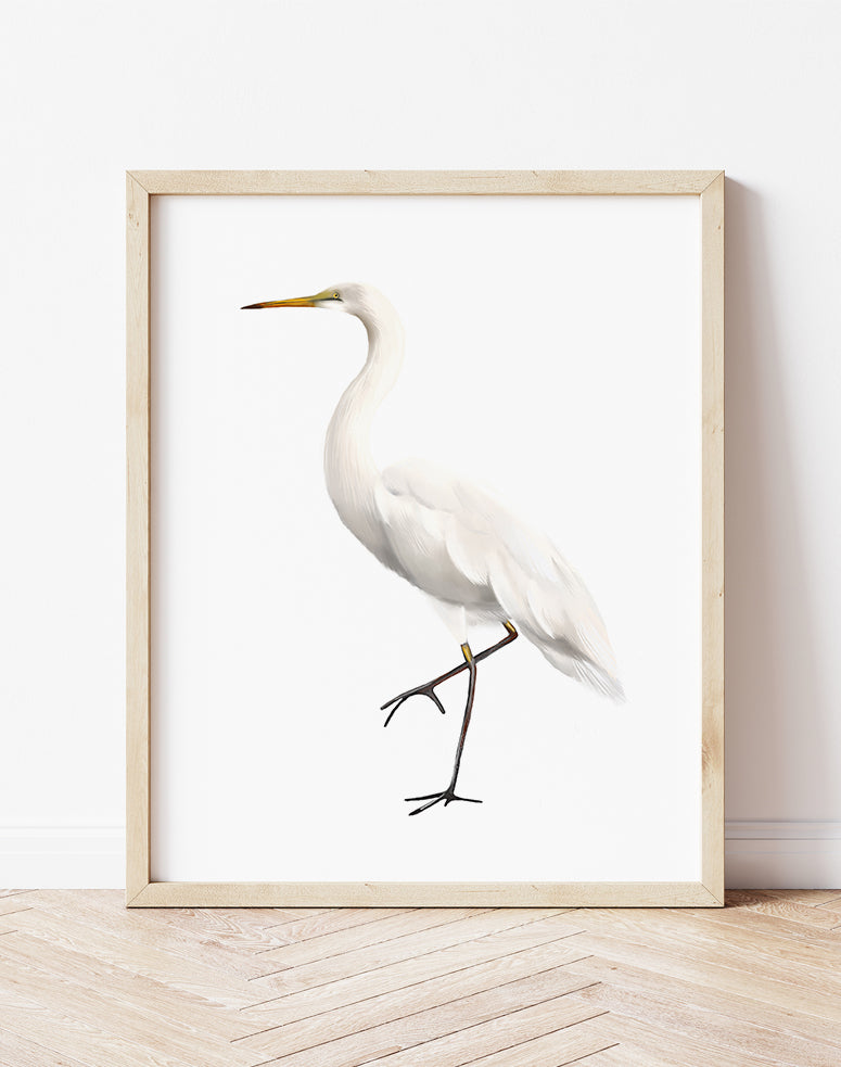 Great Egret 2 Bird Art Print- Studio Q - Art by Nicky Quartermaine Scott
