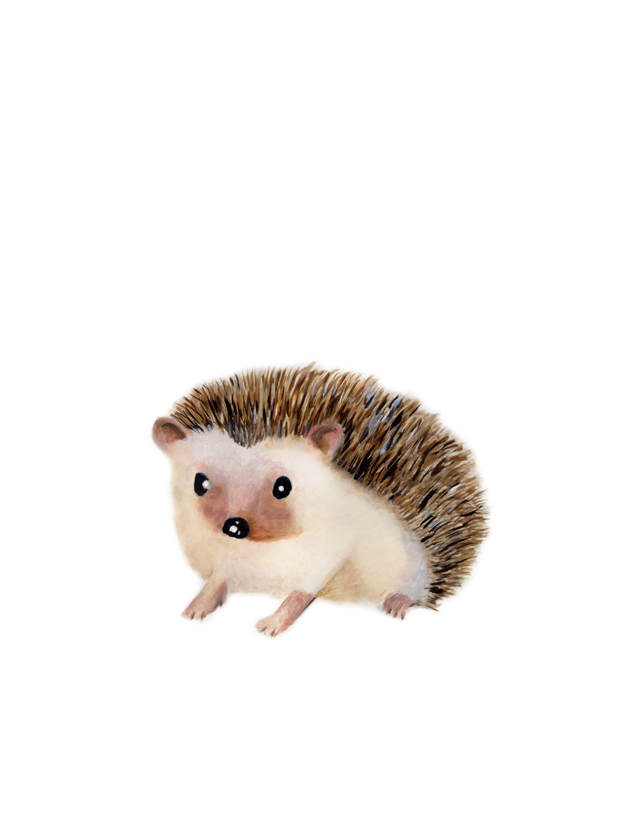Hedgehog Nursery Art Print - Studio Q - Art by Nicky Quartermaine Scott