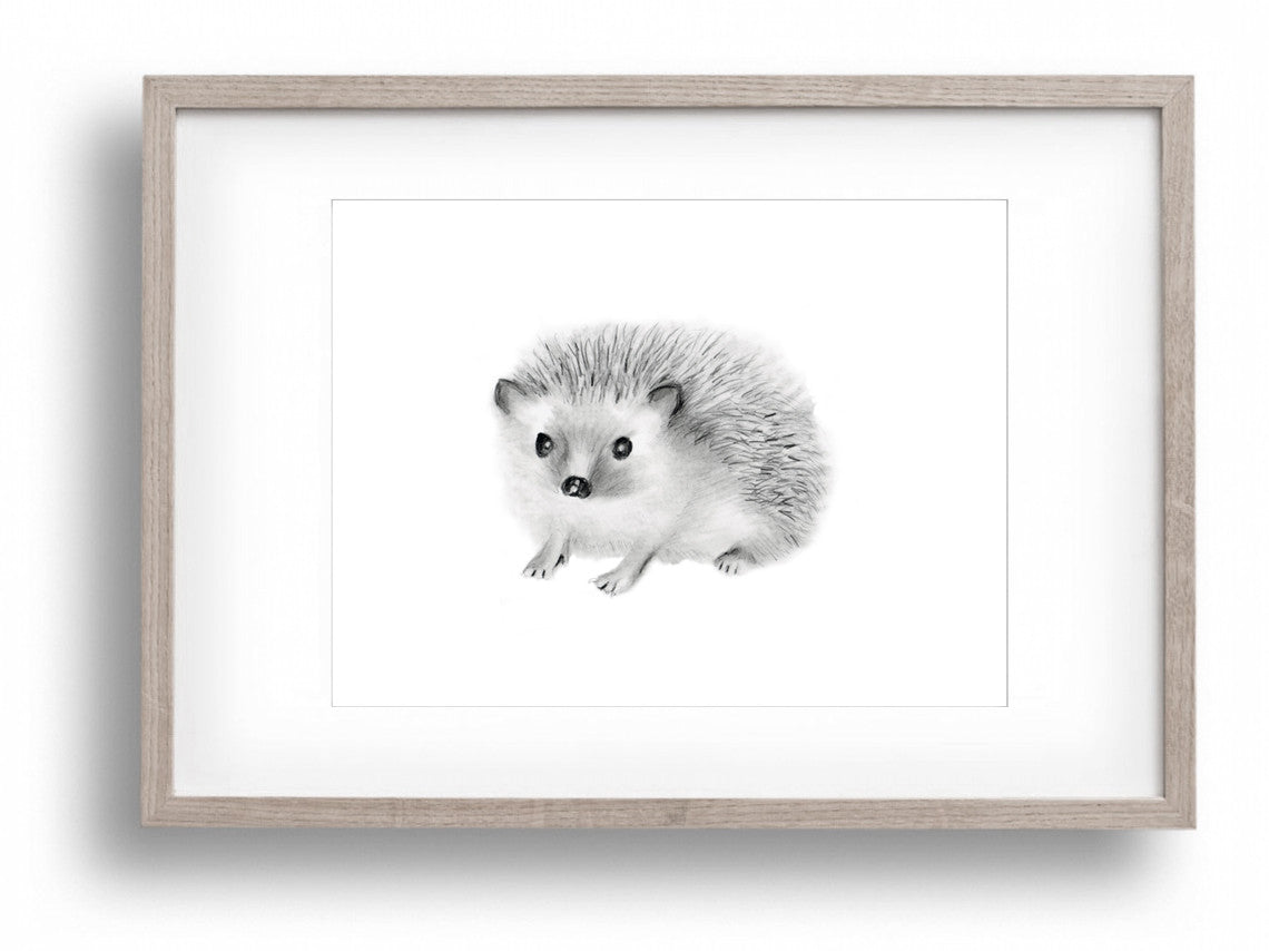 Hedgehog Nursery Art Print - Studio Q - Art by Nicky Quartermaine Scott