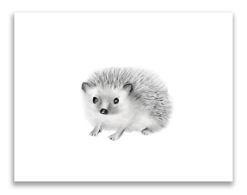 Hedgehog Nursery Art Print - Studio Q - Art by Nicky Quartermaine Scott