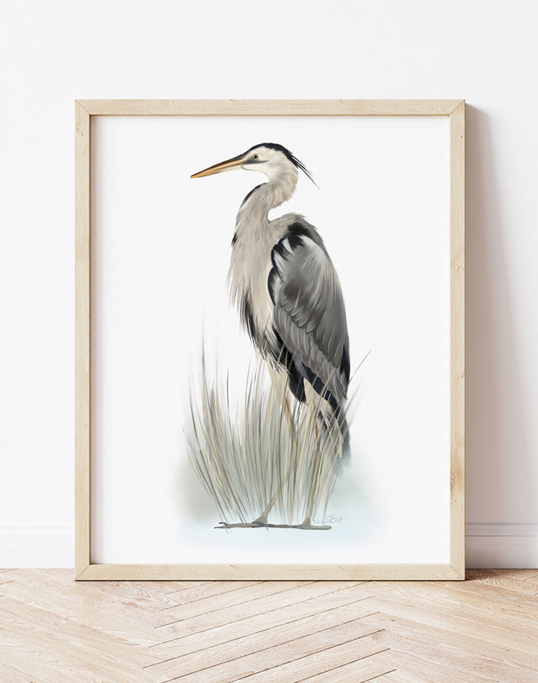 Painting of a Great Blue Heron bird in green grasses on a white background - Studio Q - Art by Nicky Quartermaine Scott