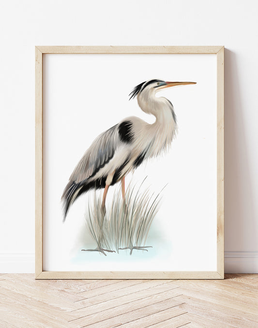 Great Blue Heron in tall grasses painting on white background in a wood frame - Studio Q - Art by Nicky Quartermaine Scott