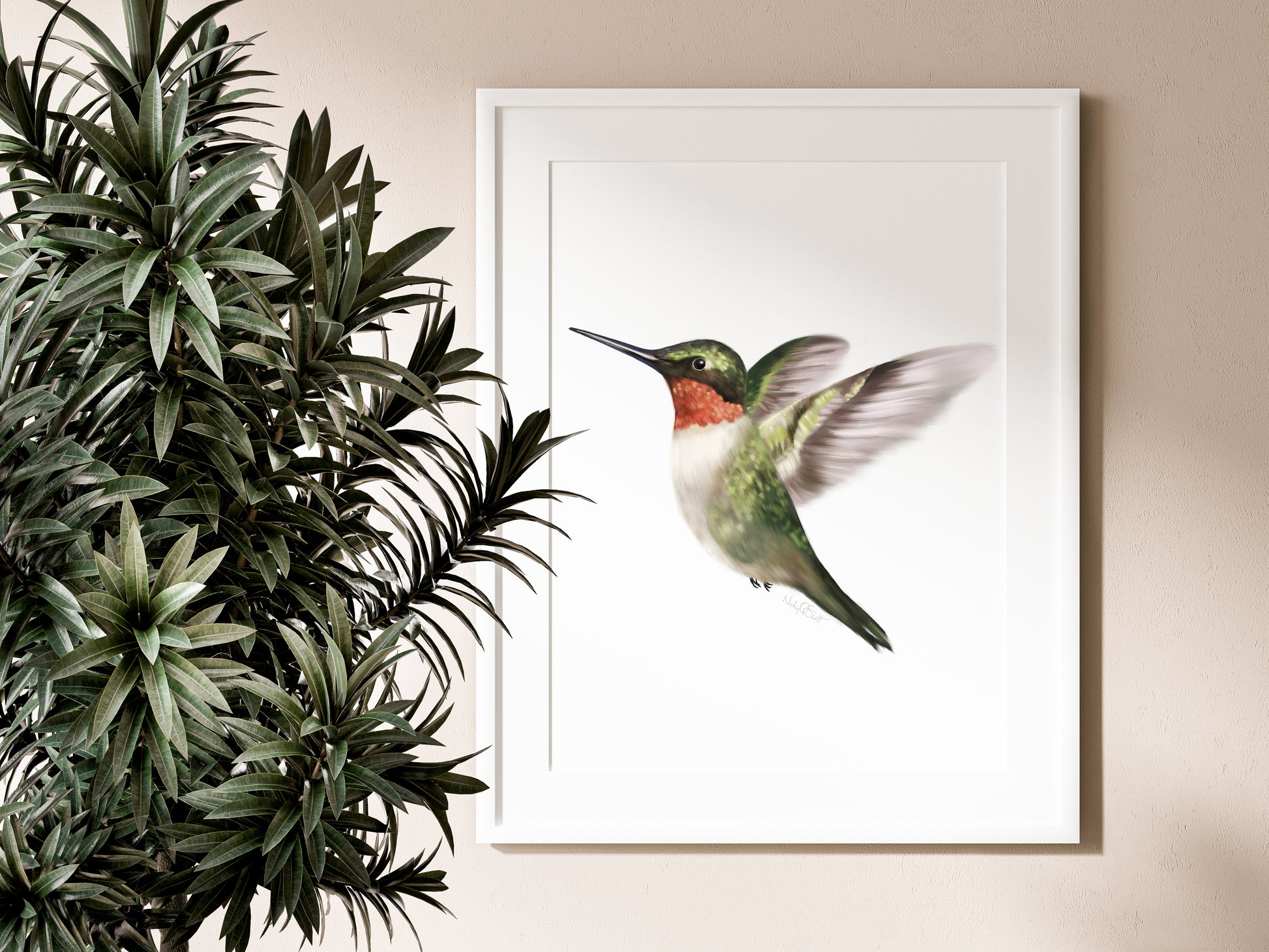 Hummingbird Art Print - Studio Q - Art by Nicky Quartermaine Scott