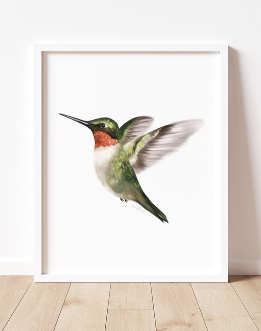 Hummingbird Painting on white background in a white frame on a wood floor - Studio Q - Art by Nicky Quartermaine Scott