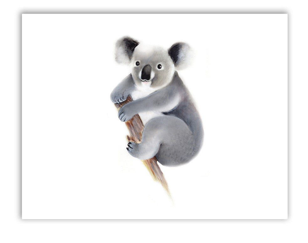 Baby Koala Nursery Art Print - Studio Q - Art by Nicky Quartermaine Scott