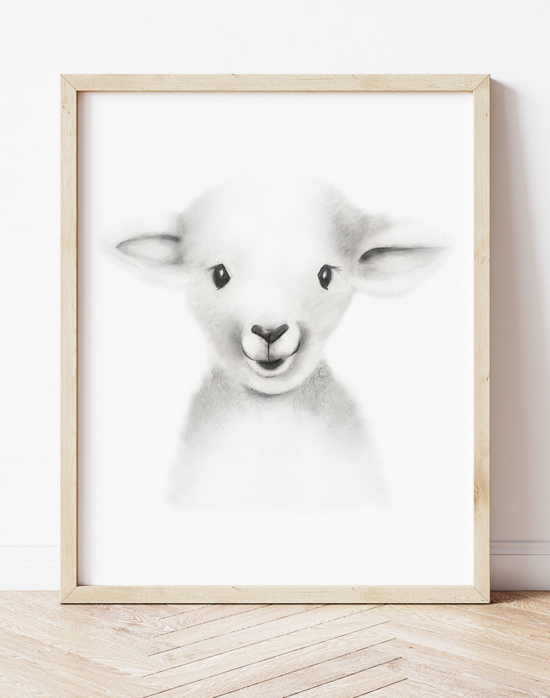 Lamb Sketch Fluffy Face Print - Studio Q - Art by Nicky Quartermaine Scott