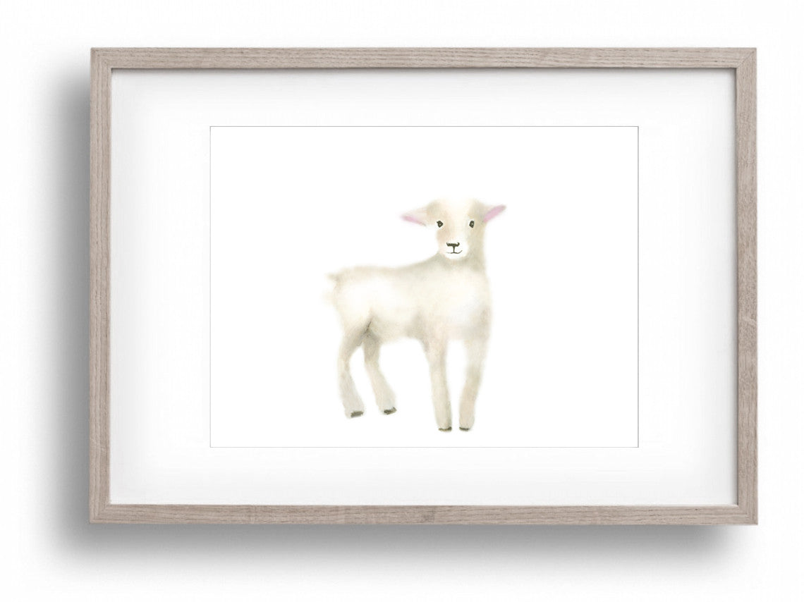 Baby Lamb Art Print 1 - Studio Q - Art by Nicky Quartermaine Scott