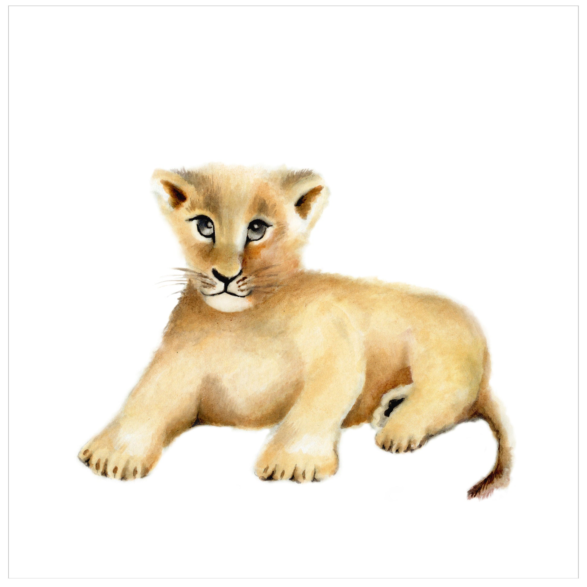 Lion Cub Nursery Art Print - Studio Q - Art by Nicky Quartermaine Scott