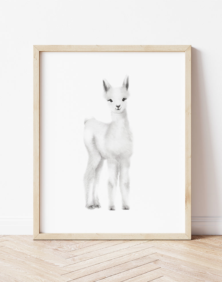 Baby Llama Nursery Art Print- Studio Q - Art by Nicky Quartermaine Scott