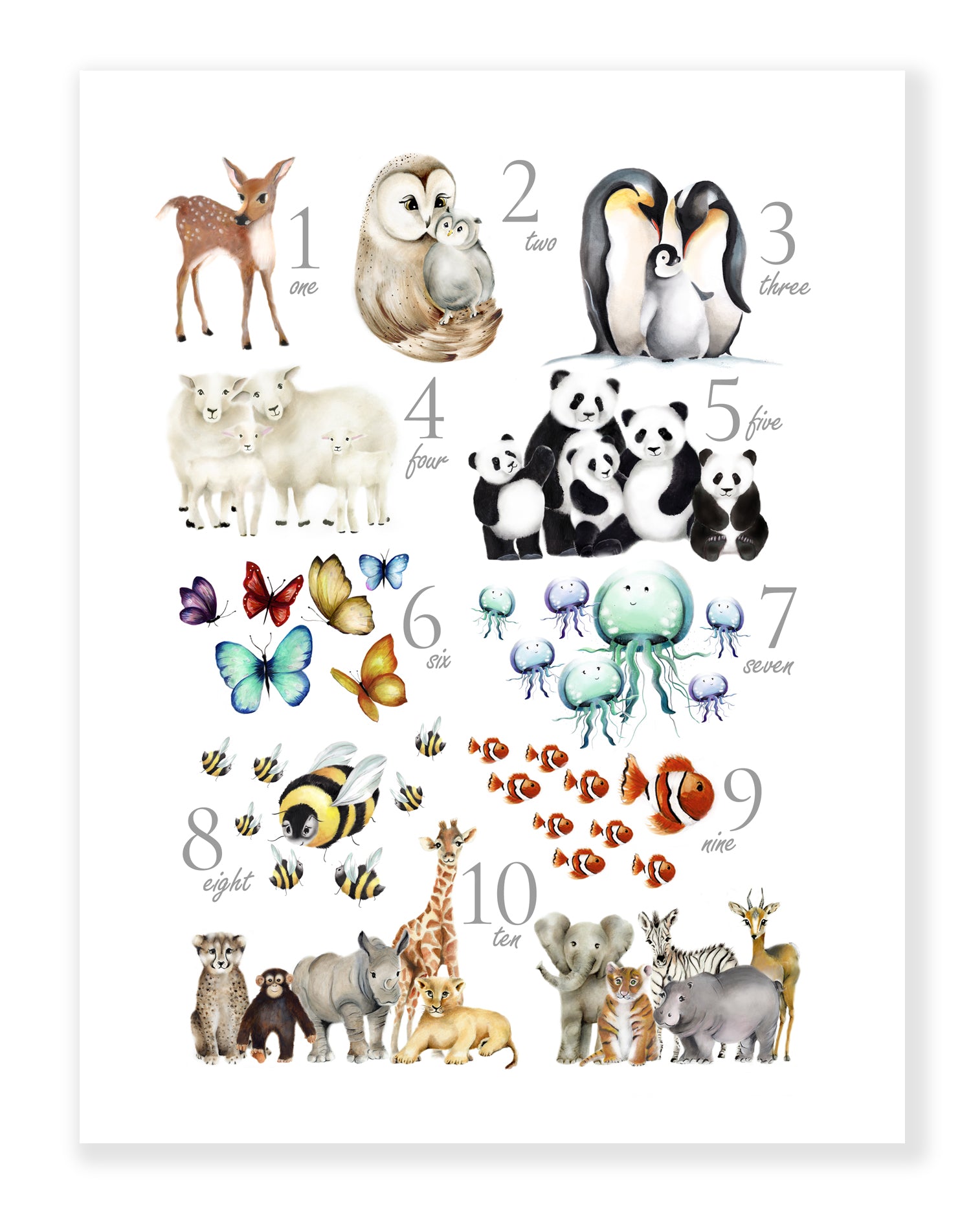Animal Numbers Print - Studio Q - Art by Nicky Quartermaine Scott