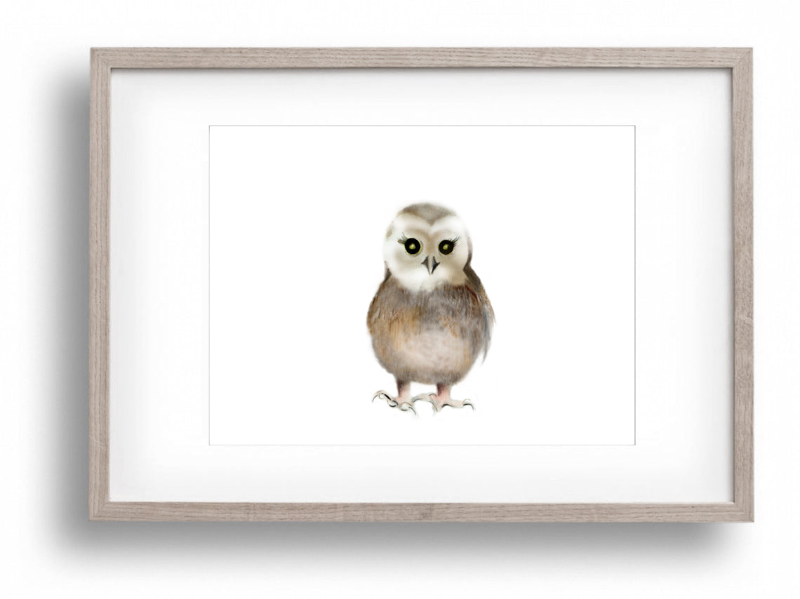 Baby Owl Nursery Art Print - Studio Q - Art by Nicky Quartermaine Scott