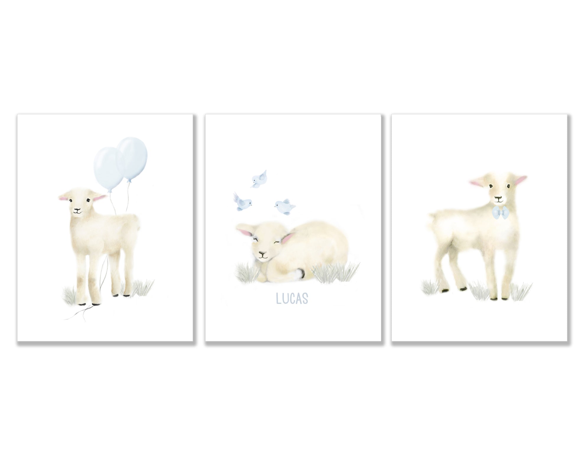 Baby Lambs for Boy - Set of 3 - Studio Q - Art by Nicky Quartermaine Scott