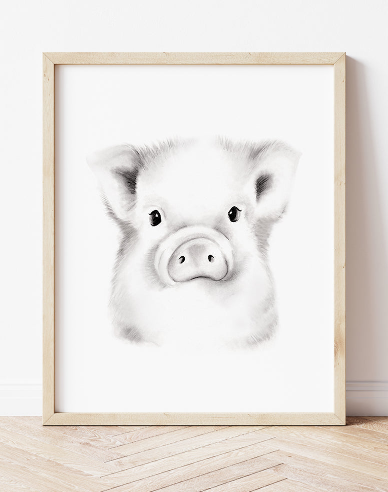 Pig Sketch Fluffy Face Print- Studio Q - Art by Nicky Quartermaine Scott