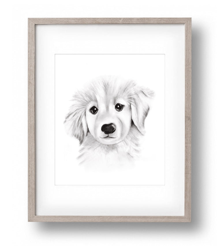 Puppy Sketch Fluffy Face Print - Studio Q - Art by Nicky Quartermaine Scott