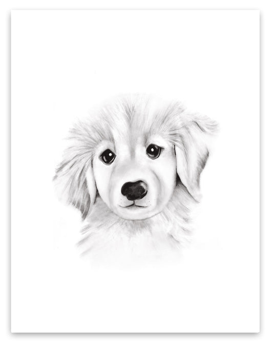 Puppy Sketch Fluffy Face Print - Studio Q - Art by Nicky Quartermaine Scott