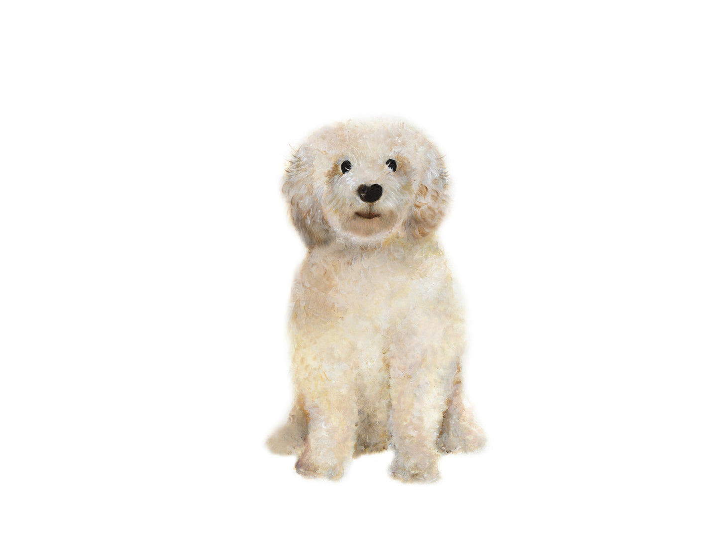 Goldendoodle Art Print - Studio Q - Art by Nicky Quartermaine Scott