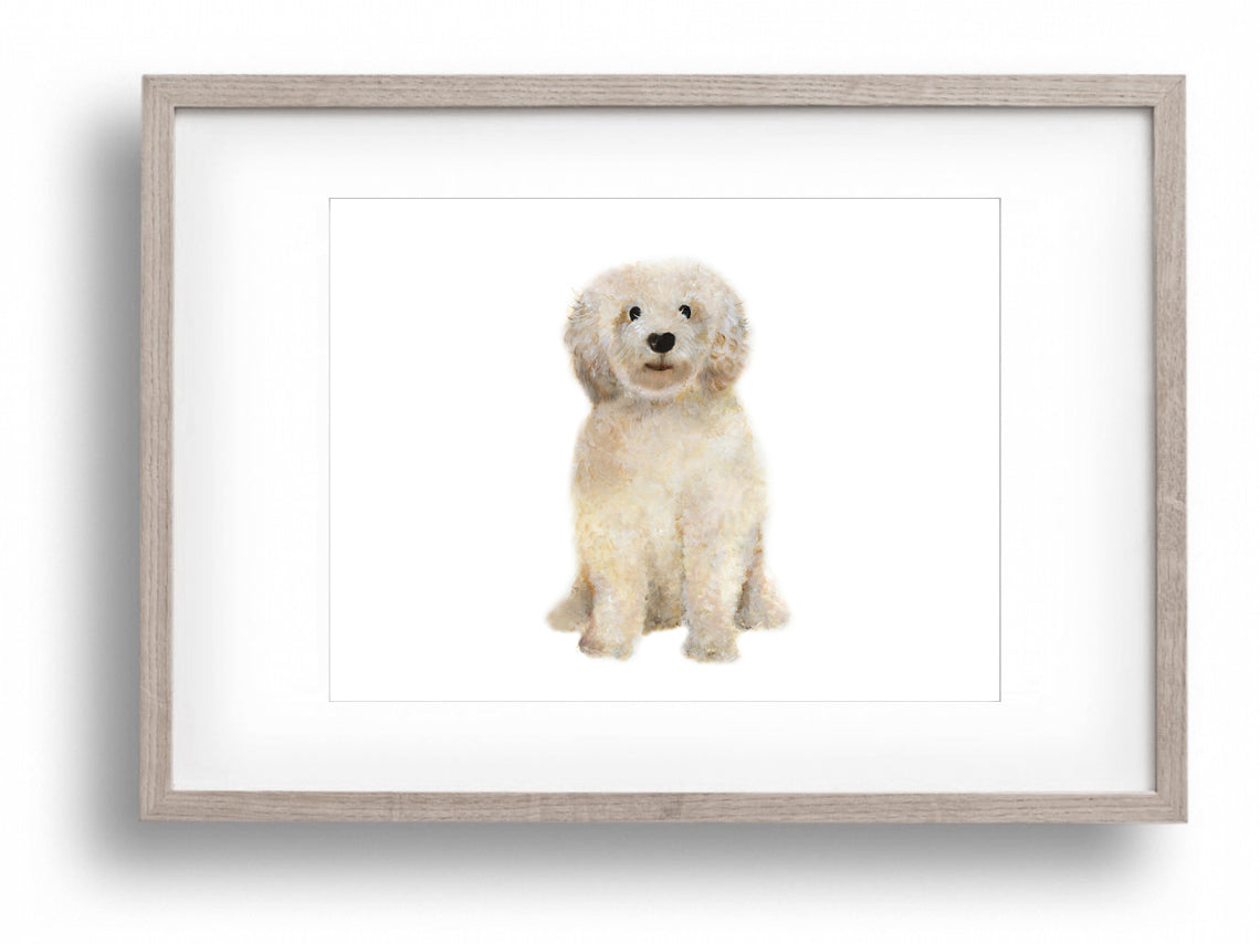 Goldendoodle Art Print - Studio Q - Art by Nicky Quartermaine Scott