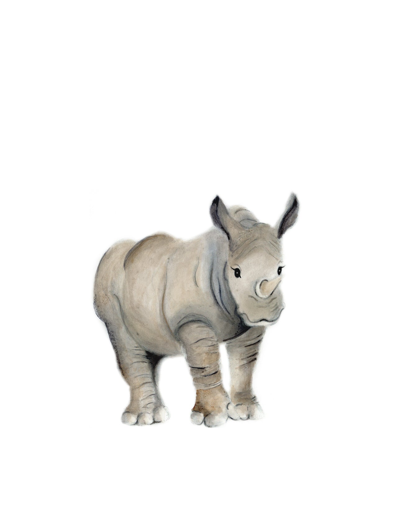Safari Baby Animal Prints Set 6 - Color - Studio Q - Art by Nicky Quartermaine Scott