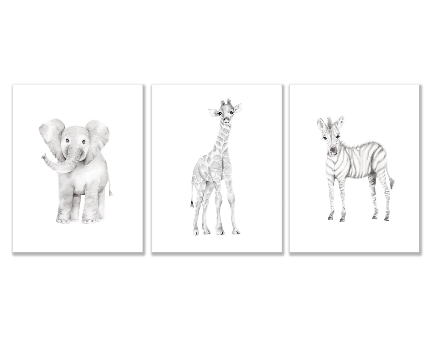 Safari Nursery Art Prints - Set of 3 - Studio Q - Art by Nicky Quartermaine Scott