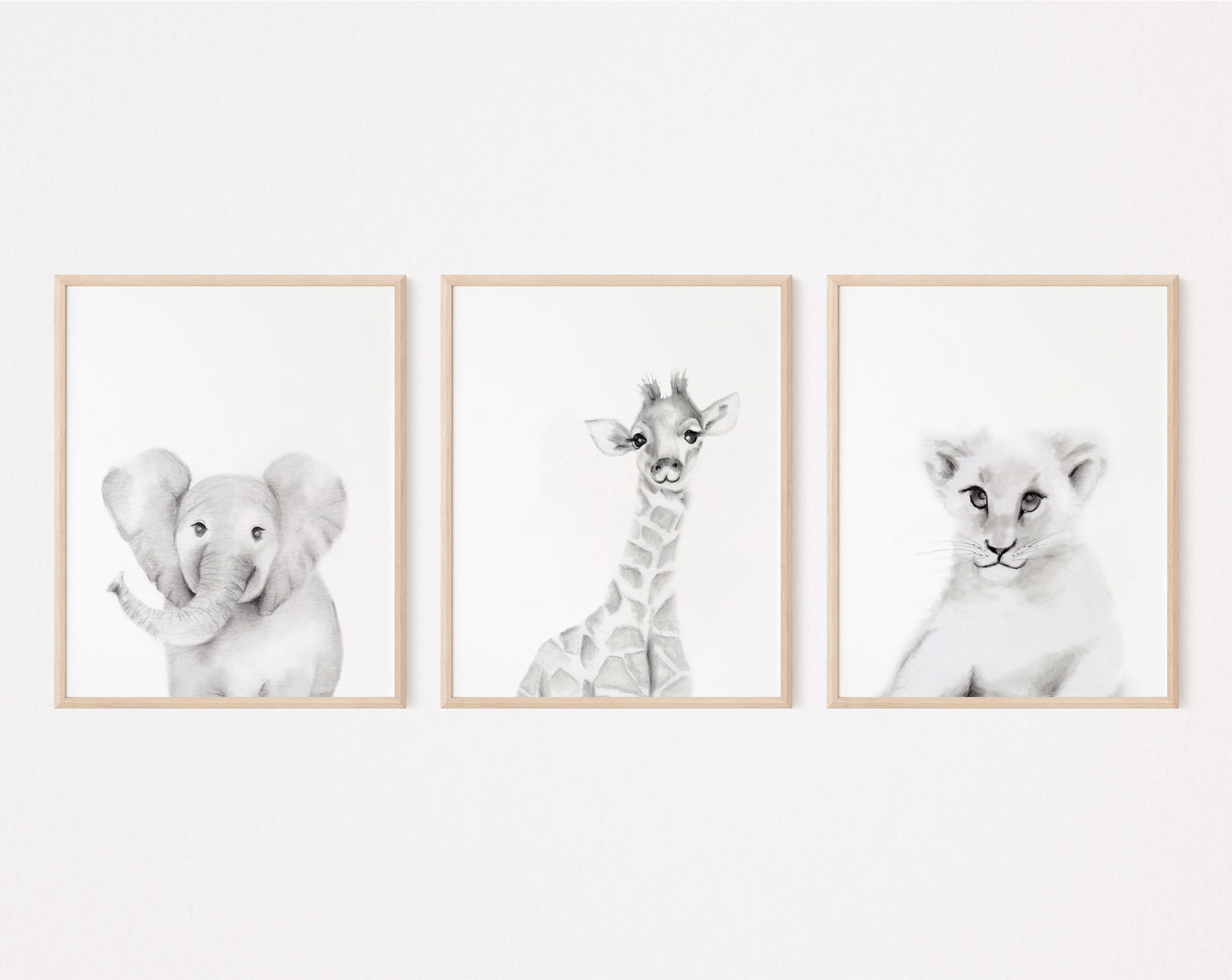 Safari Animal Faces Nursery Art Prints - Set of 3 - Studio Q - Art by Nicky Quartermaine Scott