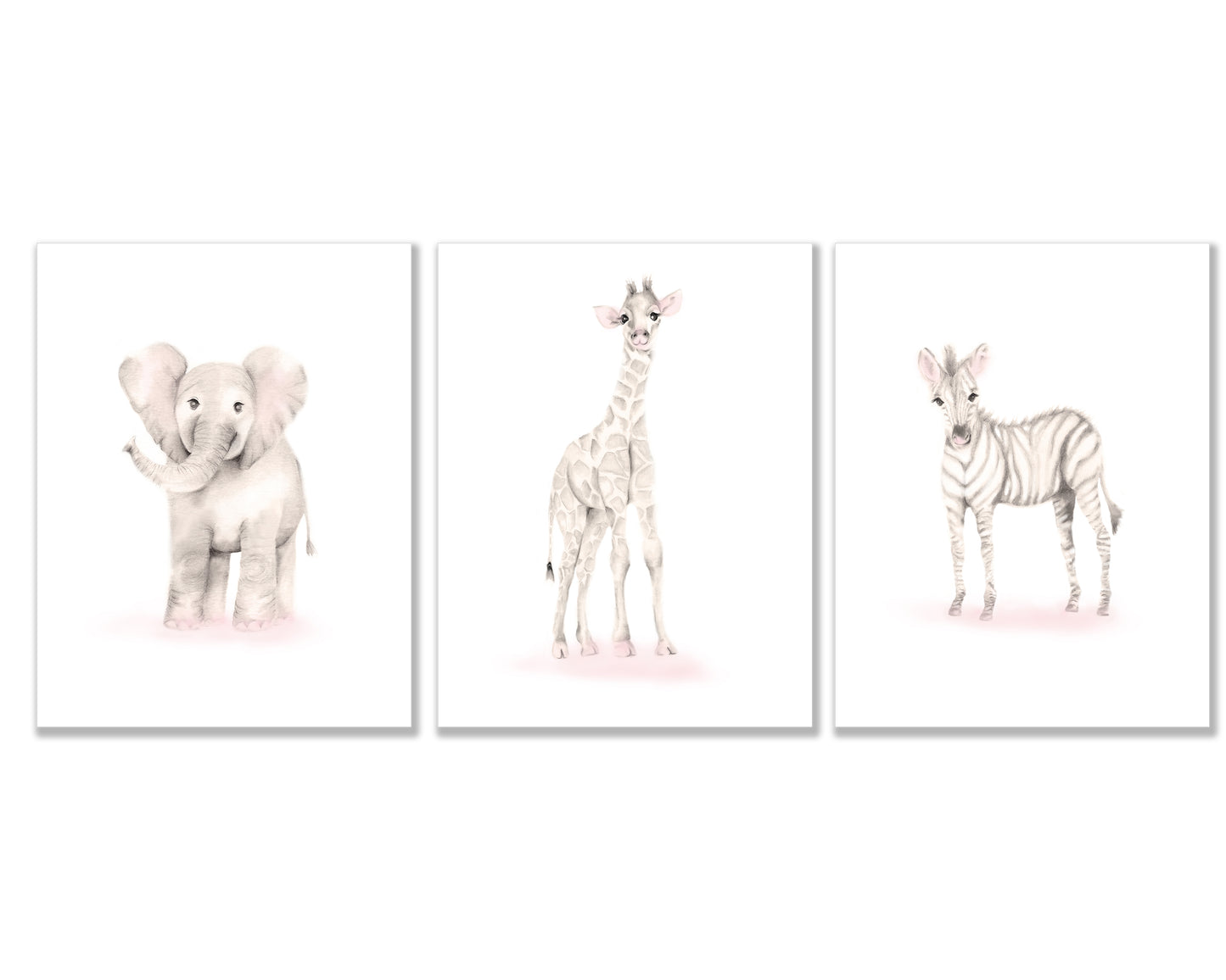 Set of 3 Safari animal pencil sketch prints in shades of beige and pink. The set includes a baby elephant, giraffe and zebra - Studio Q - Art by Nicky Quartermaine Scott