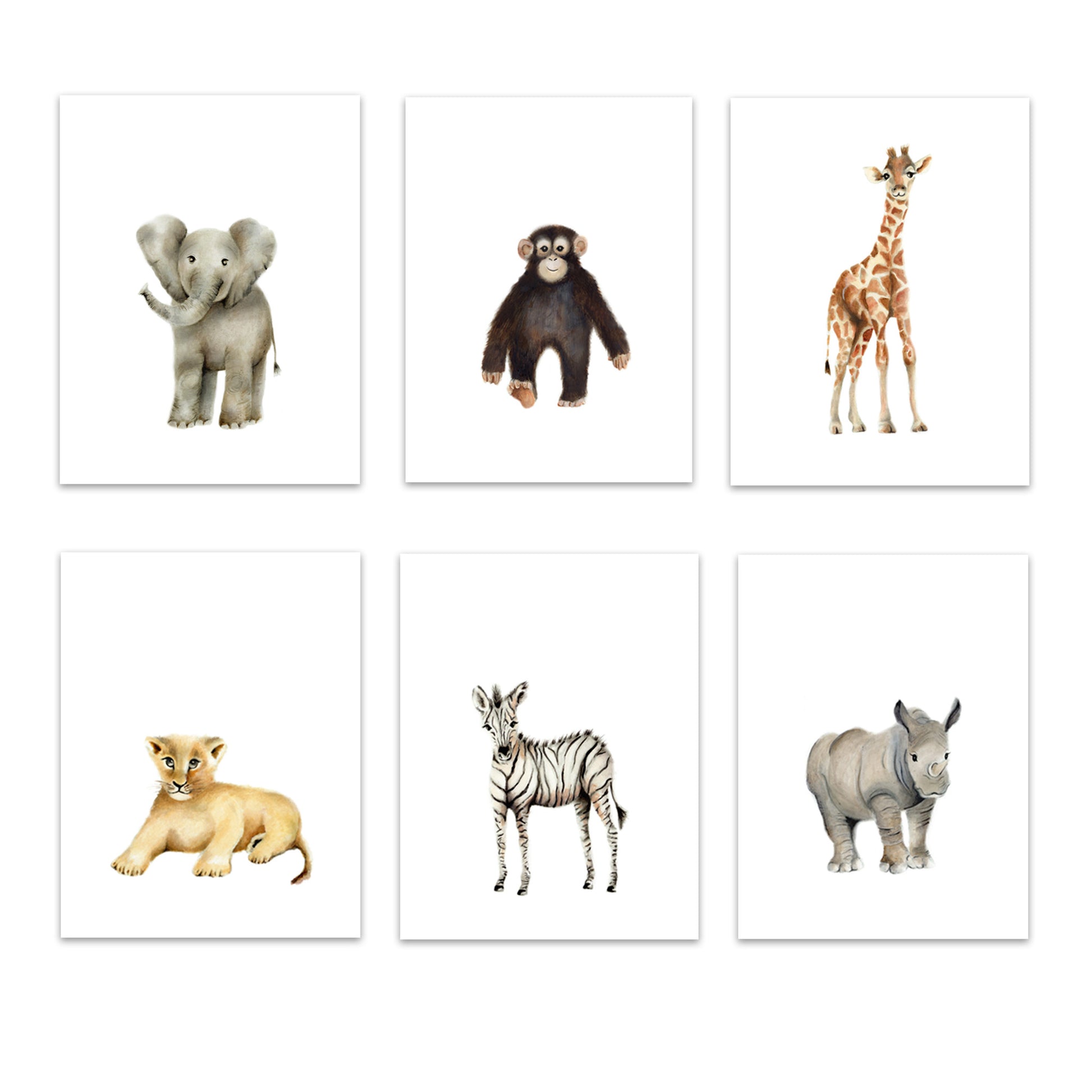 Safari Nursery Art Set of 6 Prints - Studio Q - Art by Nicky Quartermaine Scott