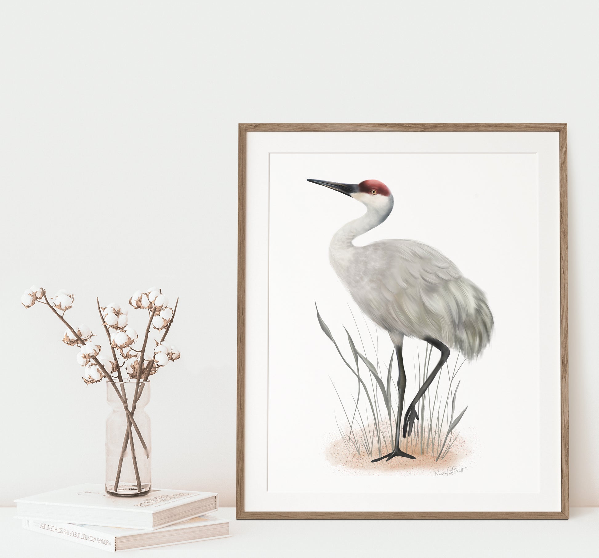 Sandhill Crane Bird Art Print - Studio Q - Art by Nicky Quartermaine Scott