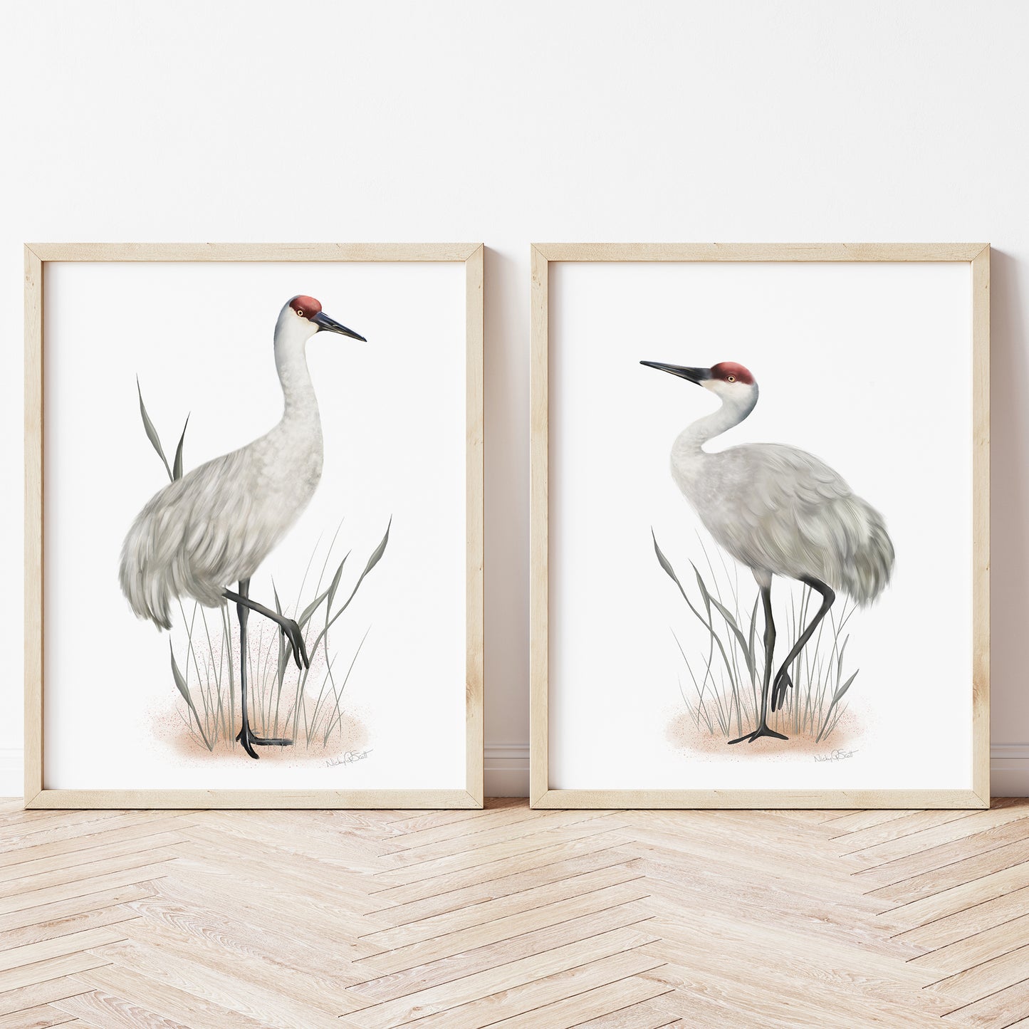 Sandhill Crane Bird Art Prints - Set of 2 - Studio Q - Art by Nicky Quartermaine Scott