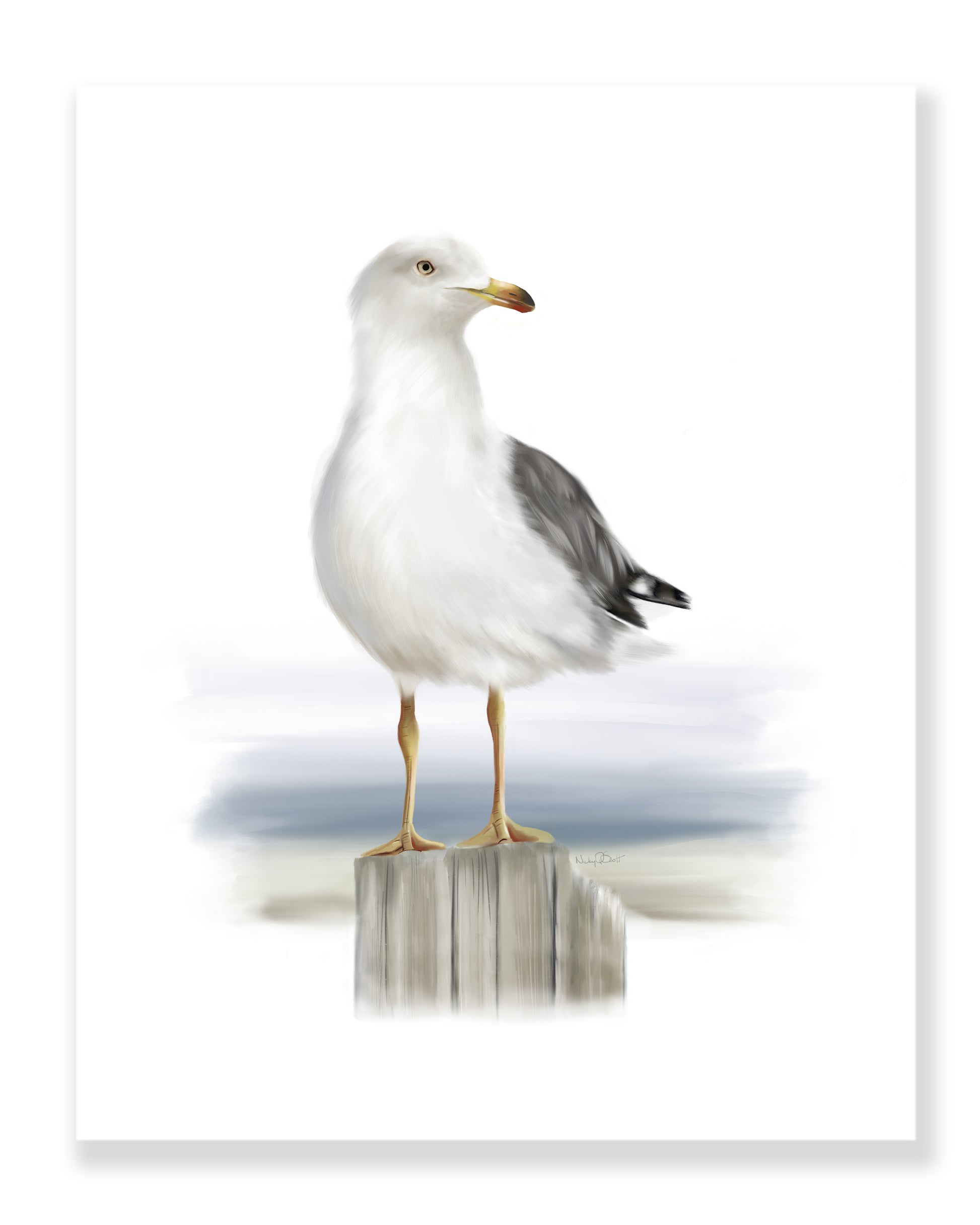 Seagull Standing on Wood Art Print - Studio Q - Art by Nicky Quartermaine Scott