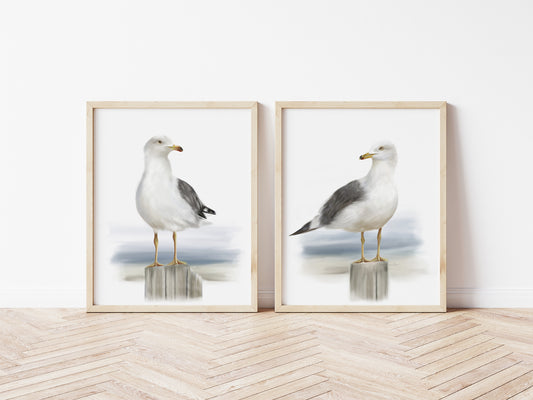 Seagull Bird Art Prints - Set of 2  - Studio Q - Art by Nicky Quartermaine Scott