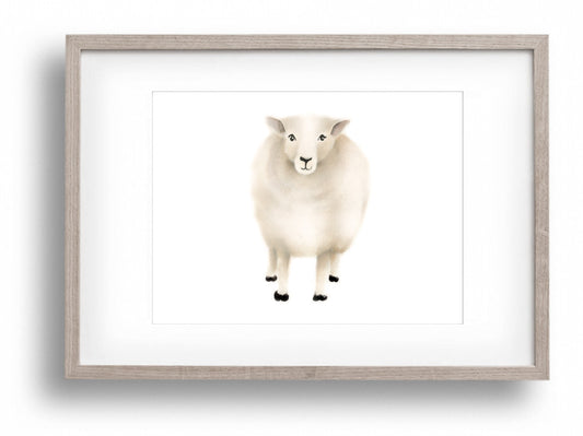 Sheep Nursery Art Print 2 - Studio Q - Art by Nicky Quartermaine Scott