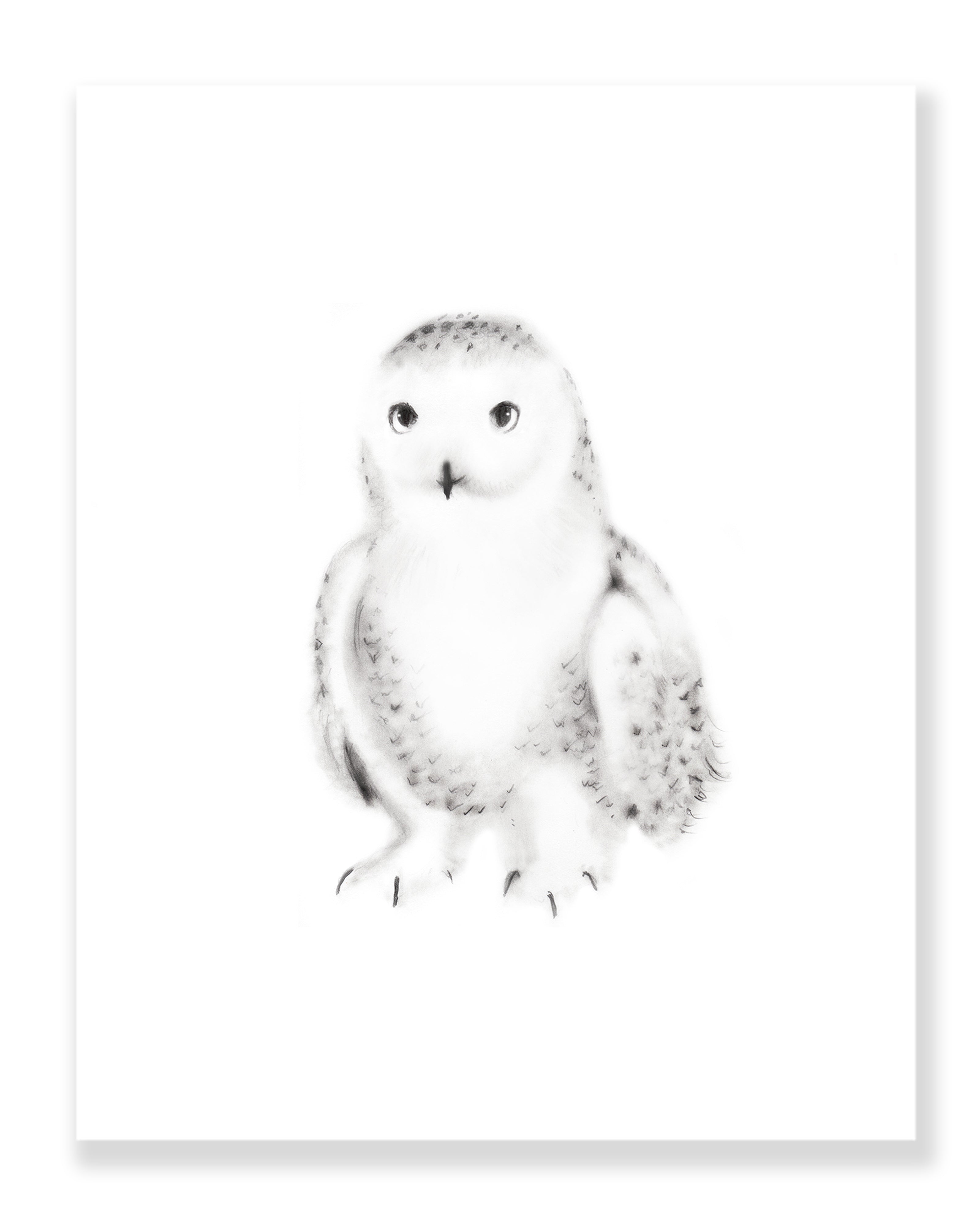 Short-eared owl Original Drawing | Marie Ducom