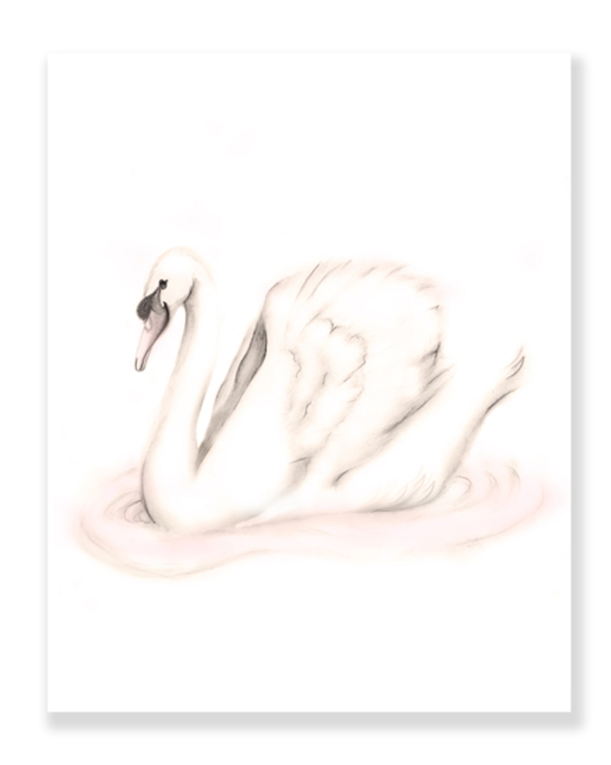 Swan Sweet Blush Nursery Art Print - Studio Q - Art by Nicky Quartermaine Scott