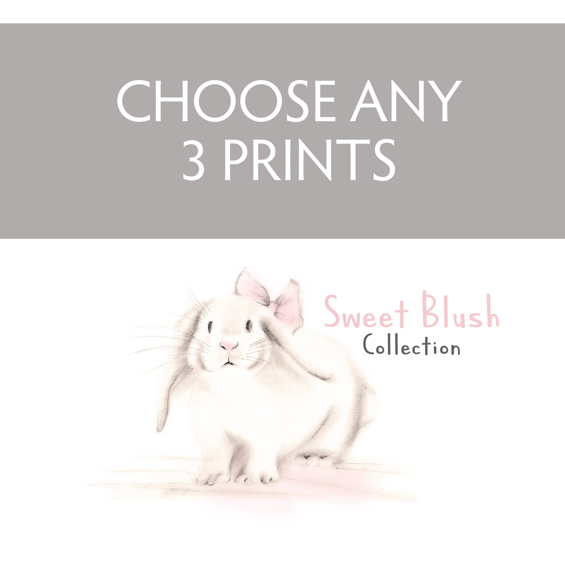 Sweet Blush Collection - Choose any 3 Prints - Studio Q - Art by Nicky Quartermaine Scott