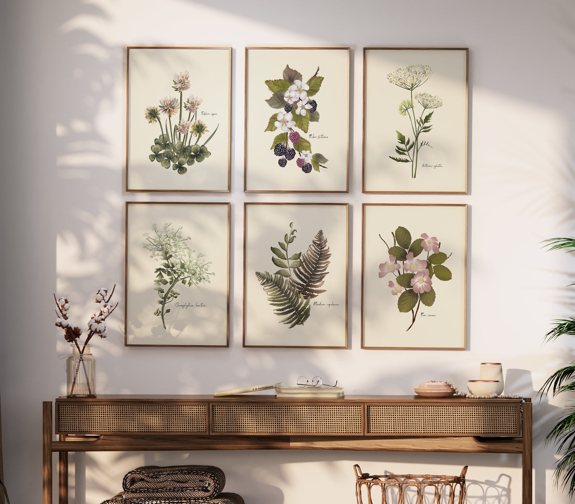 Wildflower Floral Art Prints - Set 6- Studio Q - Art by Nicky Quartermaine Scott